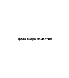 HOMEZOO   