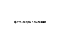  HOMEZOO   