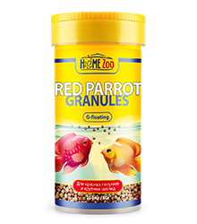 HOMEZOO ���� ��� ���